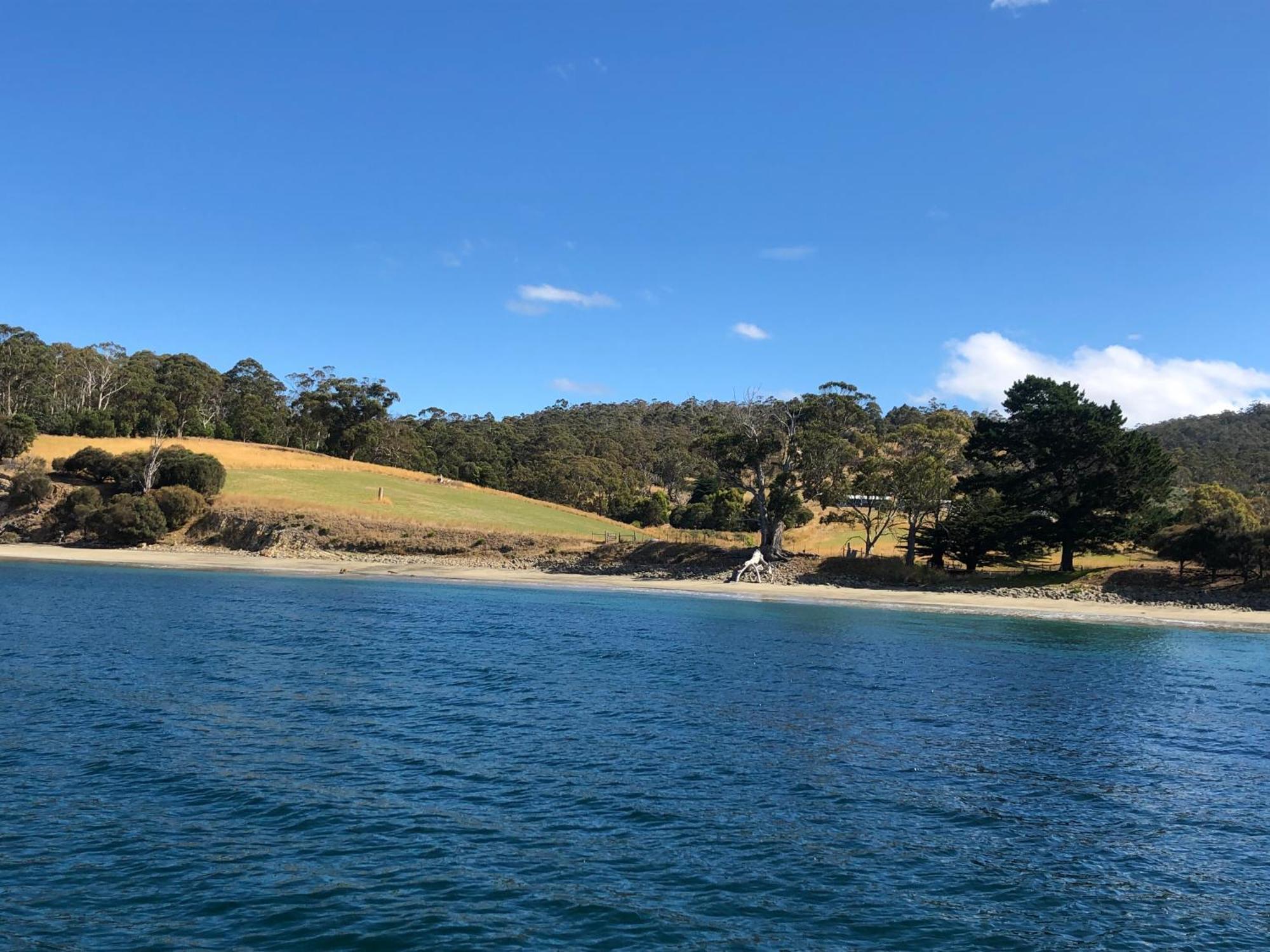 The Woolshed And Farmhouse Blue, Bruny Island Barnes Bay Exterior photo